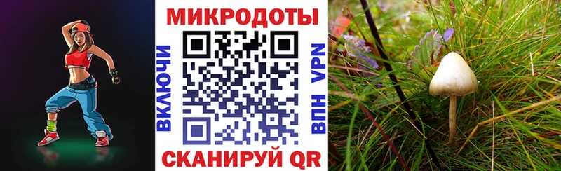 Псилоцибиновые грибы ЛСД  Купить где  Выборг 