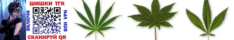 Купить  Выборг  Каннабис White Widow 